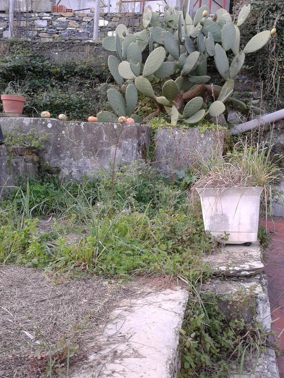 Rural House Rondini Hotel Camposasco Exterior foto